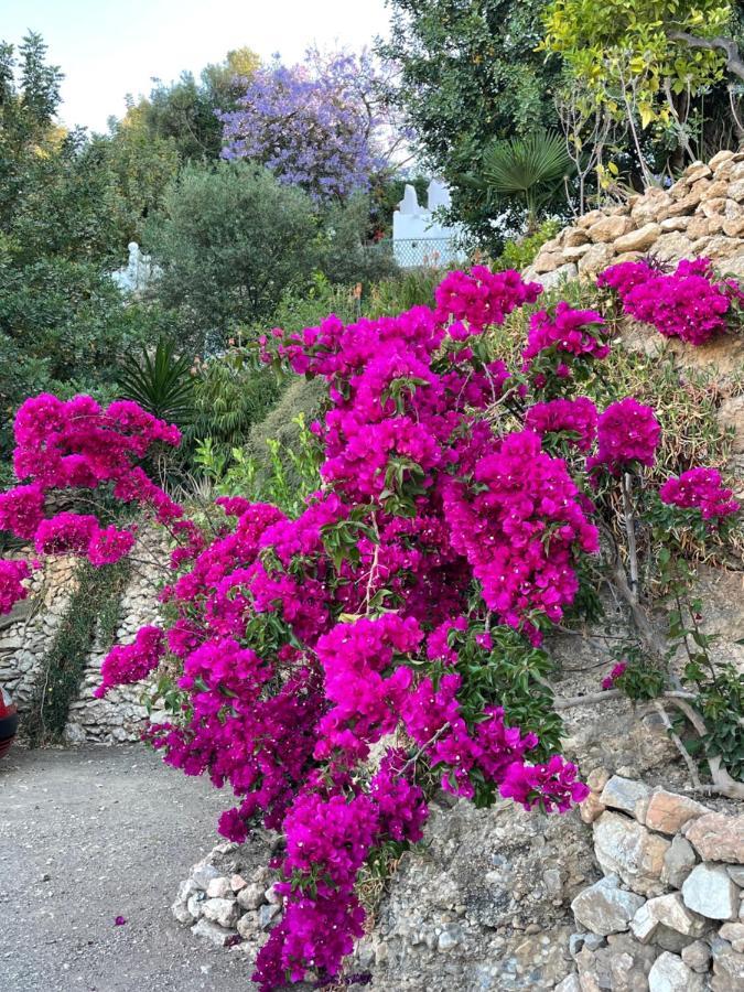 La Casa Turquesa * Frigiliana